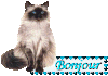 !cid_FC216DDBA41C47178C18F3474E257C9C@PCdeBijou.gif