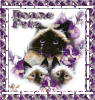 ef8336ea.gif