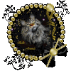 $_7.gif