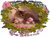 $_7.gif