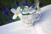 a_tea_in_the_night_by_silvermoonswan-d6bng82.jpg