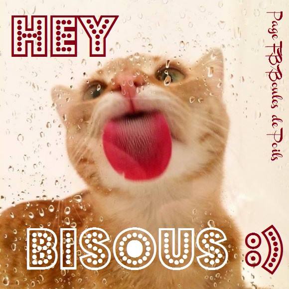 bisous_018.jpg