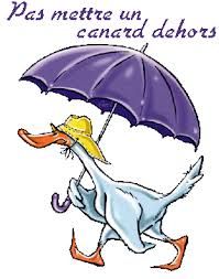 canard.jpg