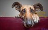 bj3101 Elke Vogelsang.jpg