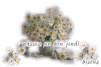 4a503c31.gif