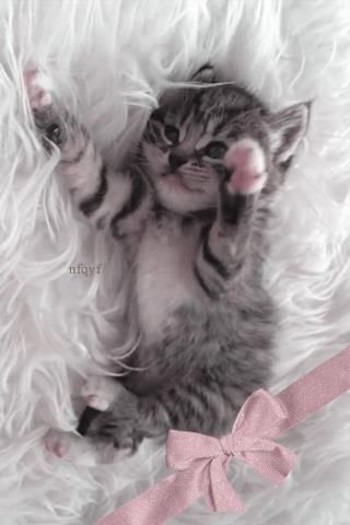 chat.htm