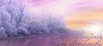 bj0702 Jasna Matz.jpg
