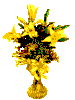 0089.gif