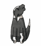 84593351.gif