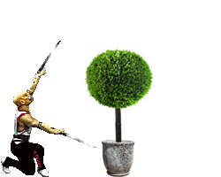 Baraka_Funny.gif