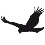 stickers-faucon-R1-63920-2.png