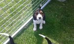 20160526_1335451.jpg