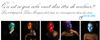 Femmes de Couleur Lisa Minogue Libération Images 1.jpg