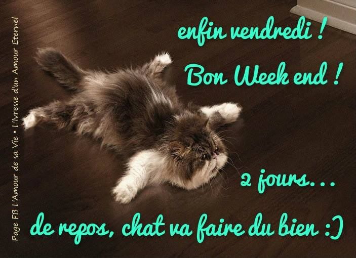 vendredi.jpg