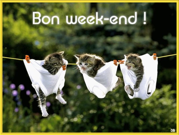 bon.jpg