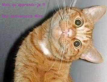 annif..jpg