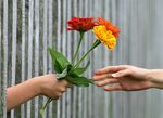 hand-1549224__340.jpg