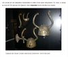 Capture VIKING 2.JPG