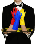 plat-servi-grand-nettoyage.gif