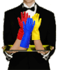plat-servi-grand-nettoyage.gif
