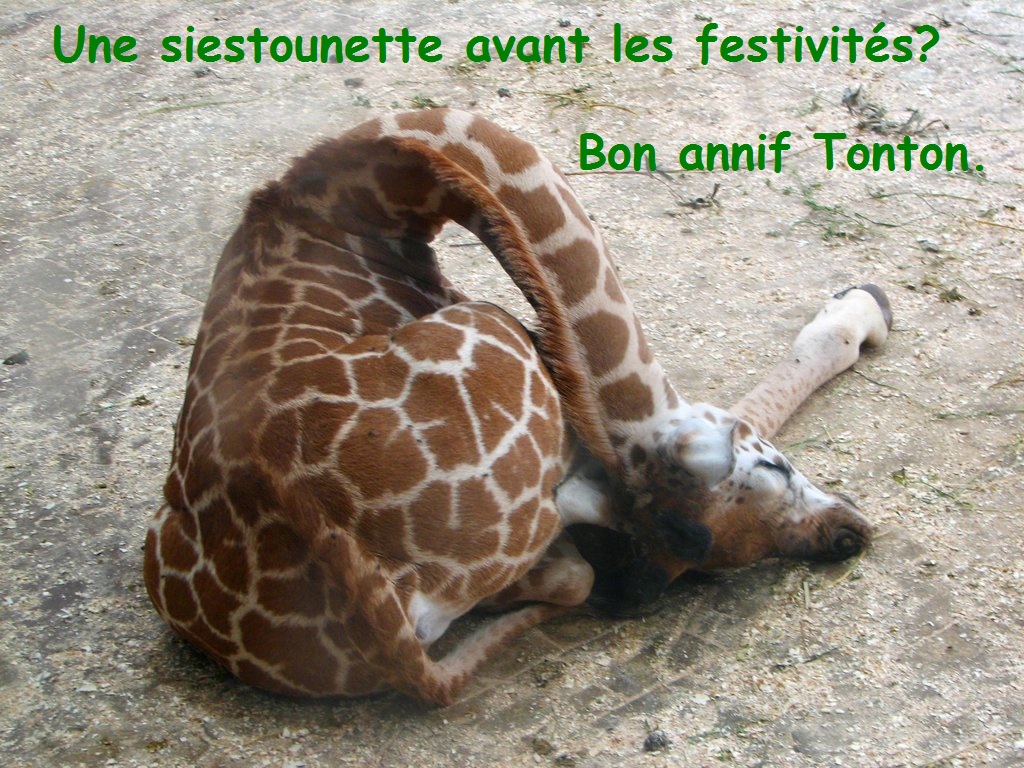 tonton.jpg