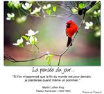 pommes