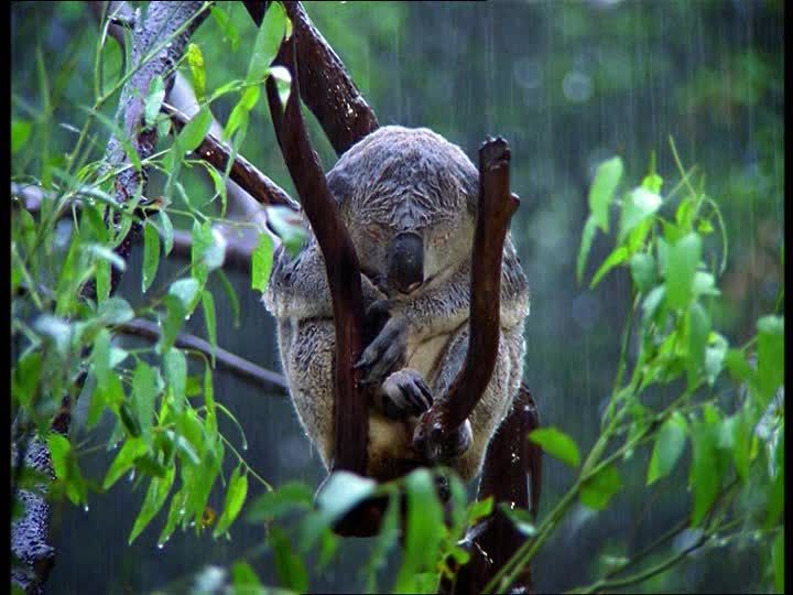 sous la pluie.jpg