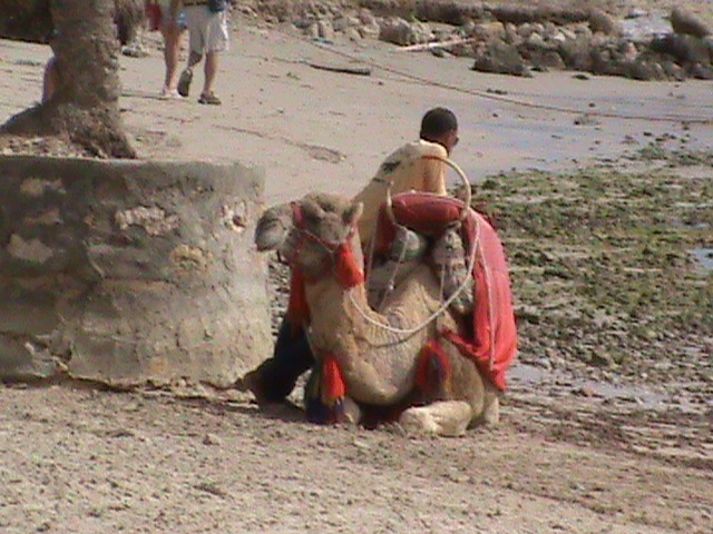 DJERBA 260.JPG