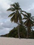 SAONA 6.JPG