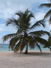 SAONA 8.JPG