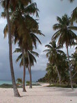 SAONA 10.JPG