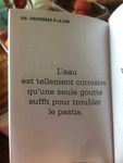 pastis.jpg