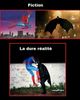eb rire 5.jpg
