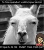 eb rire 1.jpg