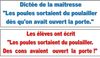 poules.jpg