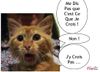 chat