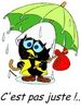 pluie.jpg