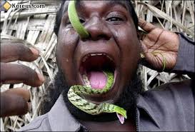 serpent 2.jpg