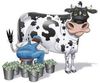 vache