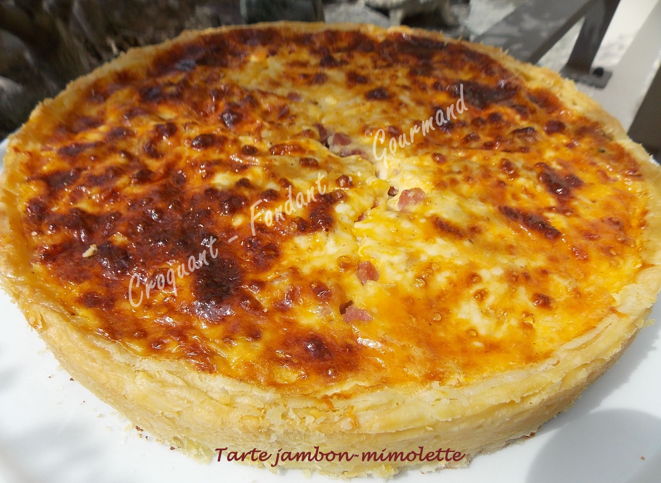 Tarte-jambon-mimolette-DSCN9827.jpg