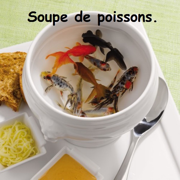 soupe.jpg