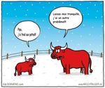 froid.jpg