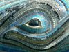 oeil baleine.jpg