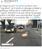 cygne.png