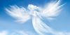 anges-du-Ciel.jpg