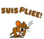 PTDR.png