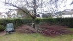 travaux