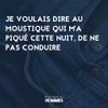 moustique.jpg