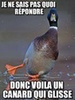 je sais pas.jpg