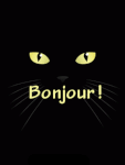 LangueChatBonjour.gif